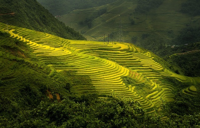 Rolling hills in Sapa, Vietnam