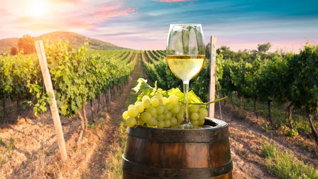 Adobe Stock 371047622 2