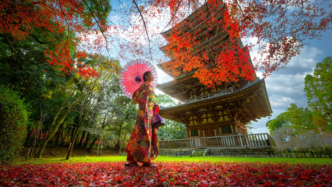 Adobe Stock 309540151