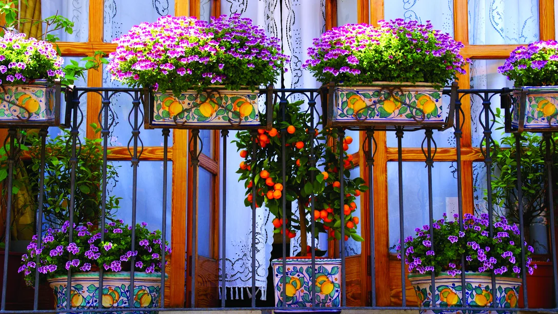 Taormina