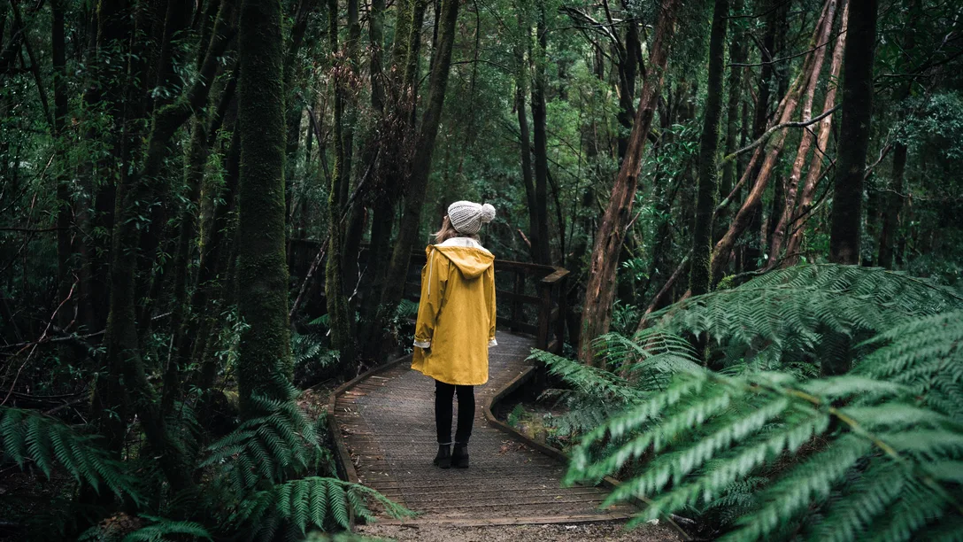 Walk to Nelson Falls Mandatory credit Emilie Ristevski Tas Vacations