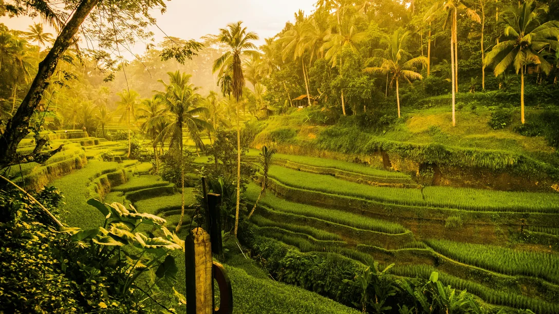 Frans daniels a8u NGJ 3 MOU unsplash