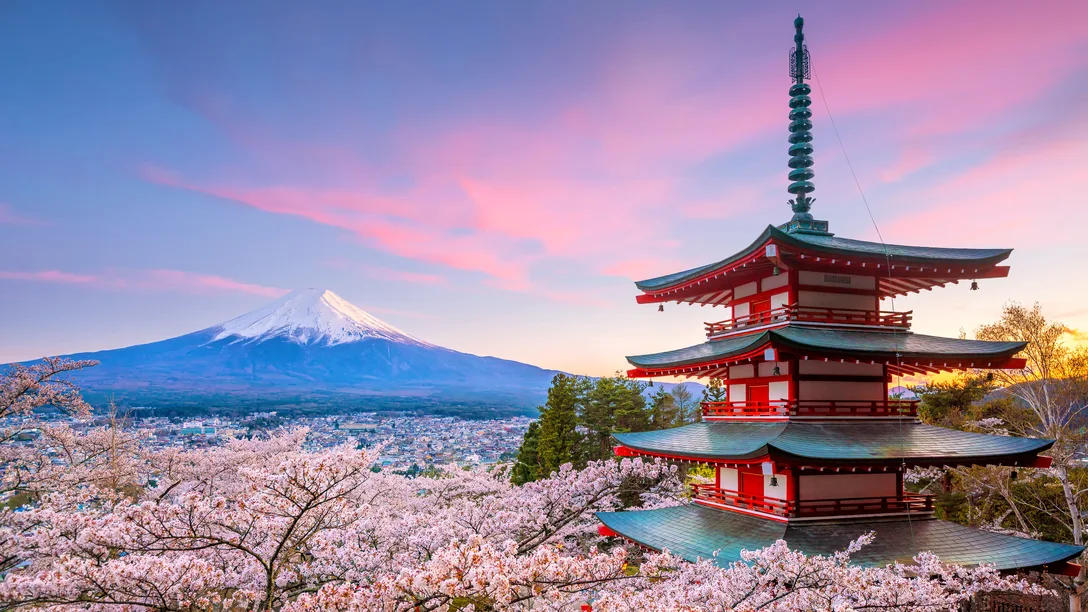 Adobe Stock 372415618