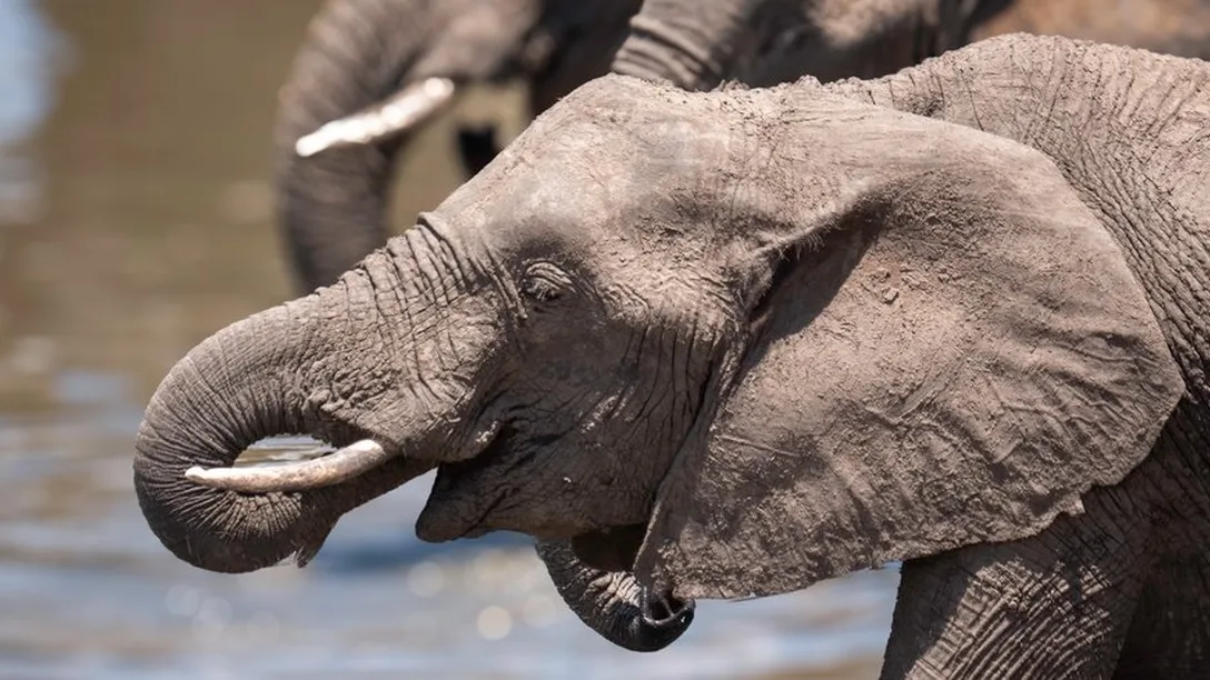 Ey Jr Z Xki Oi I5 NW Yy Njg2 NC1l Yj Vh LT Qx Y2 Et OT Aw Yi0x Zj A3 Nzc1 OGE4 MT Euan Bn Iiwi ZW Rpd H Mi Onsicm Vza Xpl Ijp7 Indp ZH Ro Ijox MD Az LC Jo Z Wlna H Qi Oj Q5 M Cwi Zml0 Ijoi Y292 ZX Iif X19