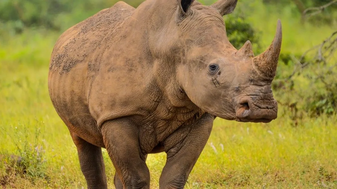 Ey Jr Z Xki Oi Ji Mm Fi OD Fh OC1m OD Nh LT Rh MD Qt Yj Rh Ni0y Nm Ji MD Fk Mj Zk Y Tguan Bn Iiwi ZW Rpd H Mi Onsicm Vza Xpl Ijp7 Indp ZH Ro Ijox MD Az LC Jo Z Wlna H Qi Oj Q5 M Cwi Zml0 Ijoi Y292 ZX Iif X19