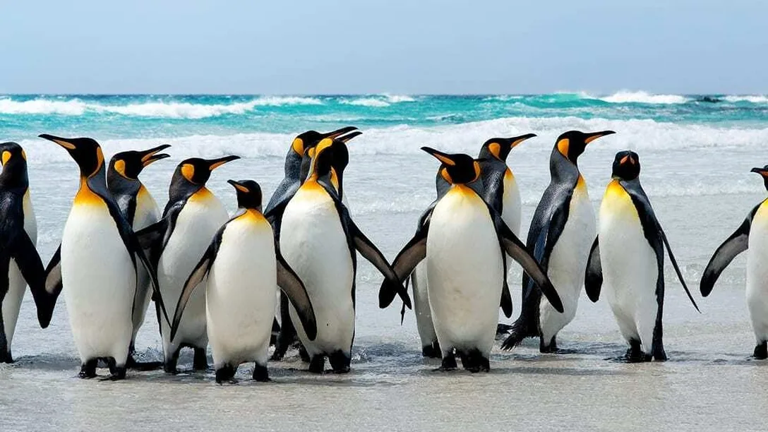 Port Stanley Image 1 1