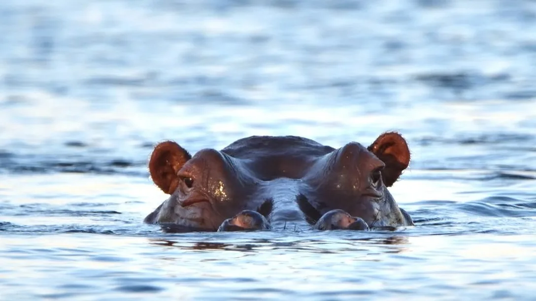 Ey Jr Z Xki Oi Jj ND Yw YW Jl Yi1l ZW Fk LTQ2 Y2 Ut OWQ3 My01 YWI2 MG Mz Zj Qw OG Iud2 Vic C Is Im Vka X Rz Ijp7 In Jlc2l6 ZSI6ey J3a WR0a CI6 MT Aw Mywia G Vp Z2h0 Ijo0 OT As Im Zpd CI6 Im Nvdm Vy In19f Q