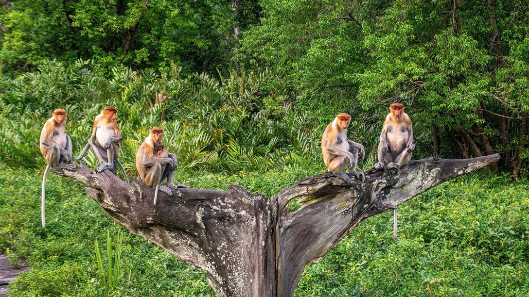 Screenshot 2026 03 16 101759