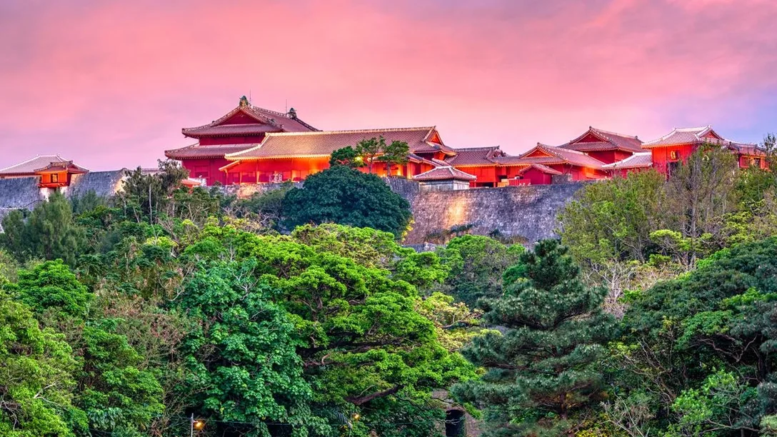 10b80de0ce80980f9daa5f45f1dc982a2b2ef5da 1200x800