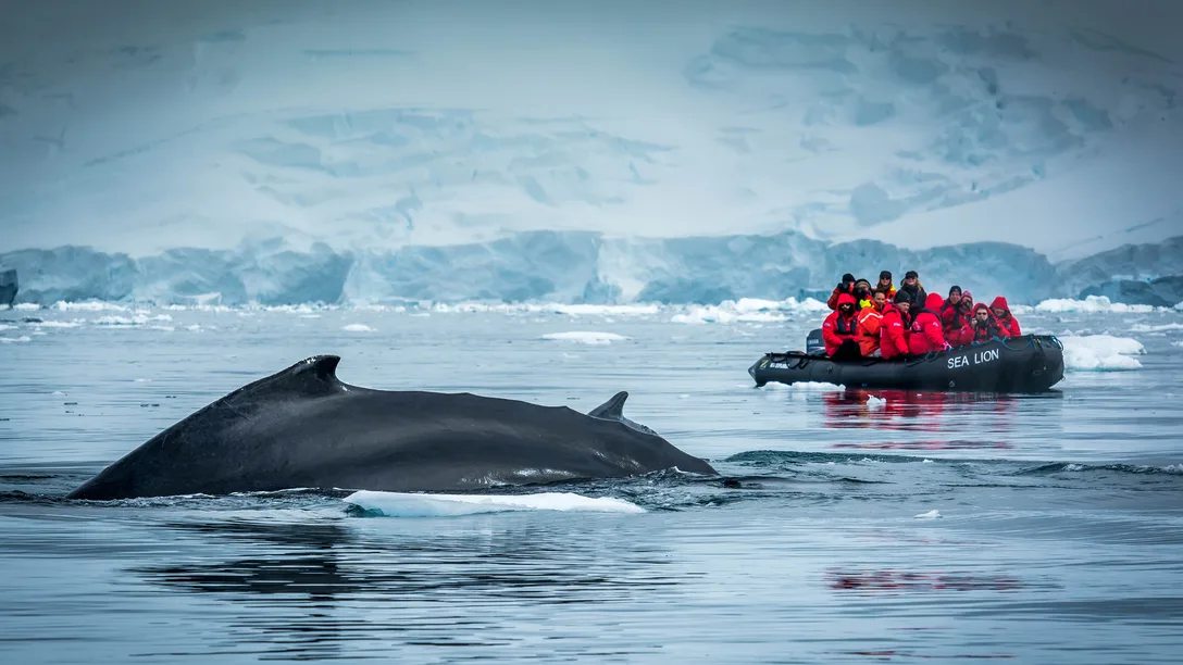 ANT DSC 9034 Graham Werner APT GU