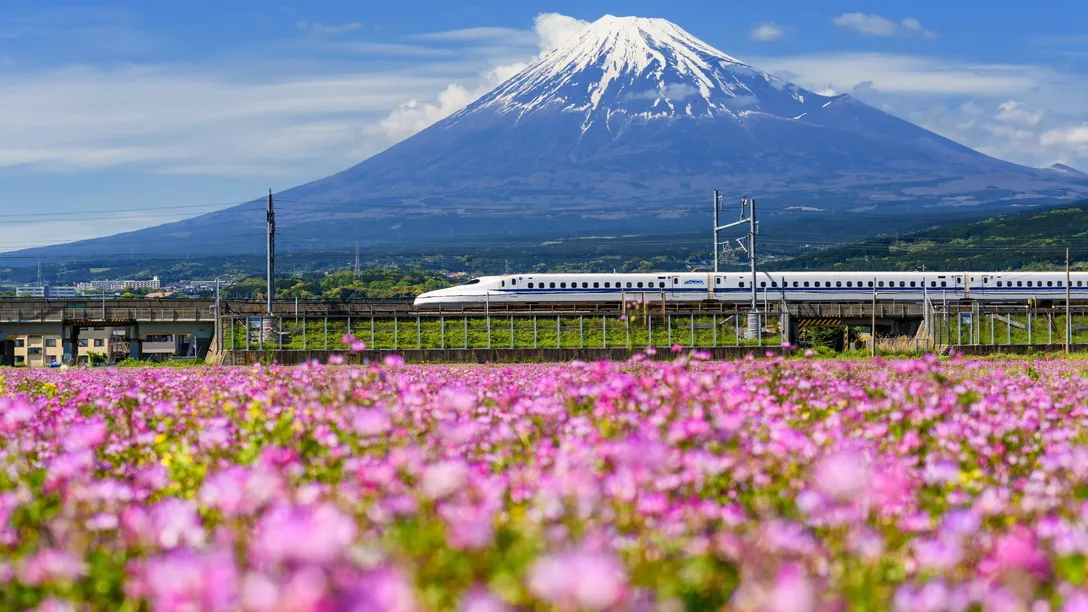 Shutterstock 1006229659 1 scaled 1 1