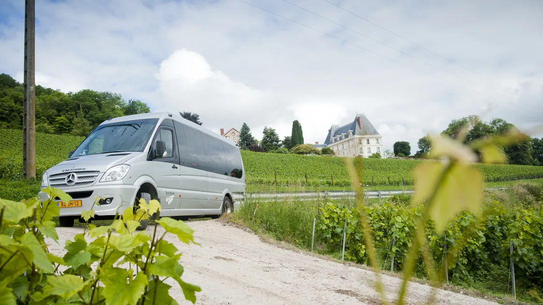 ABC Vineyards in Champagne
