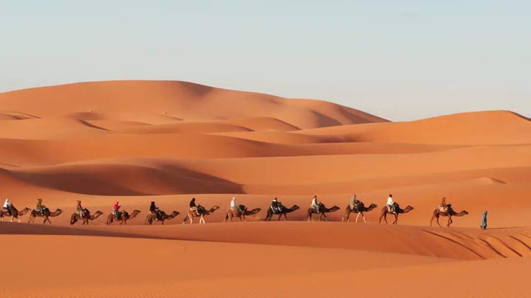 Erg Chebbi Highlight Web Ready 305611467897953