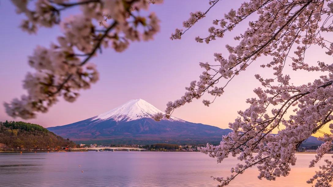 Adobe Stock 250052931