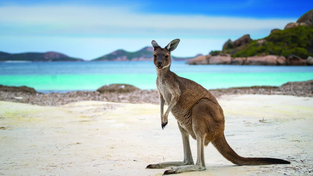 Shutterstock 1389052679