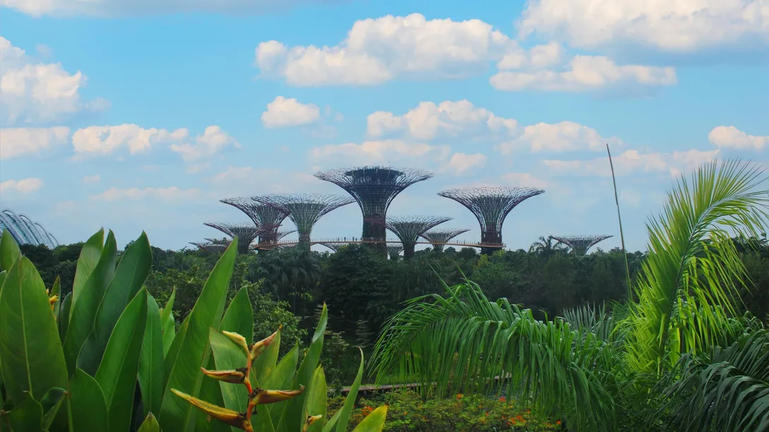 4qmesl4ooocoxwl3m866