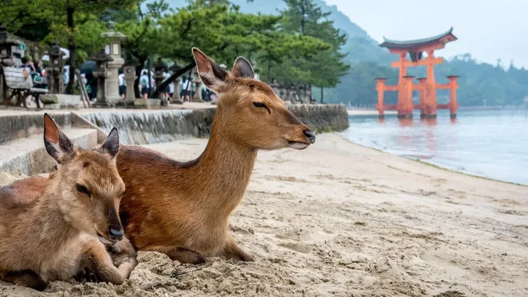 Inspiring Vacations 11 Day Authentic Japan3