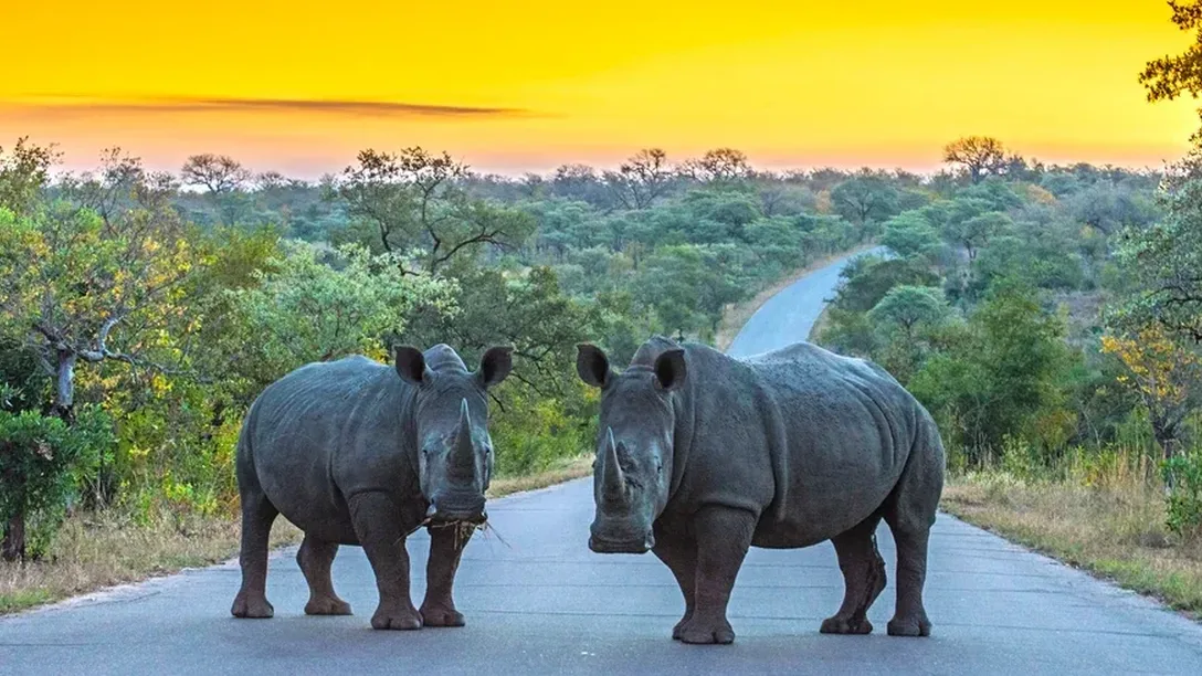 Inspiring Vacations South Africa