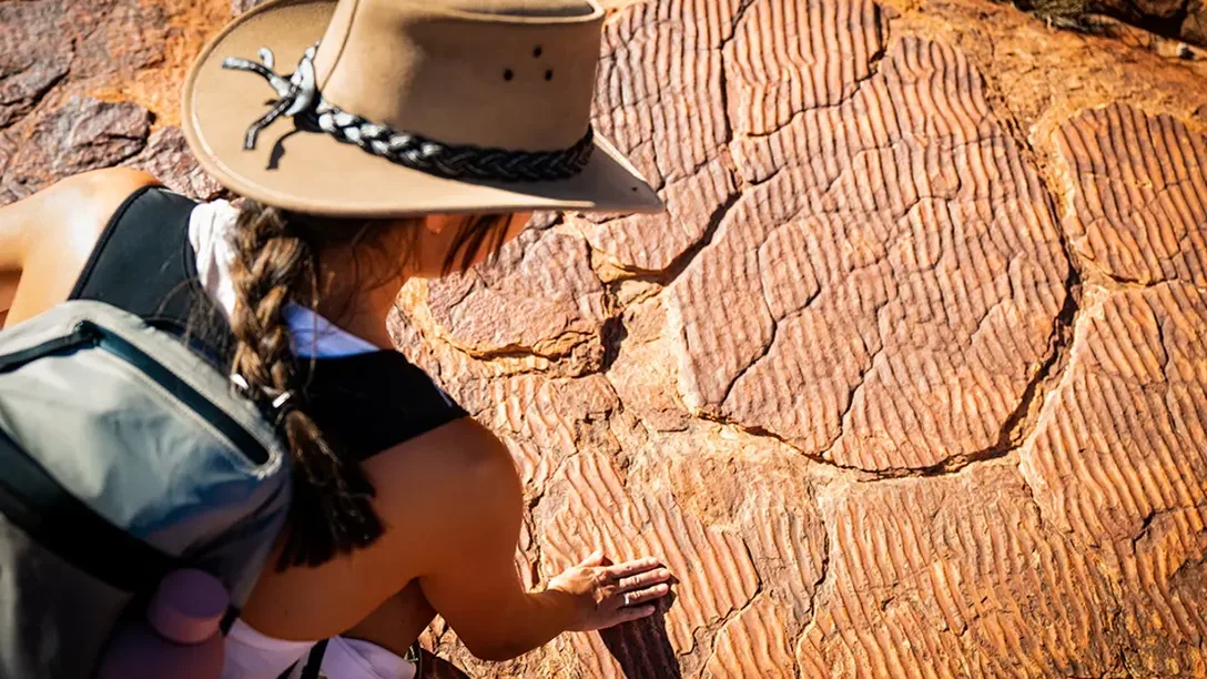 Intrepid Aus Outback