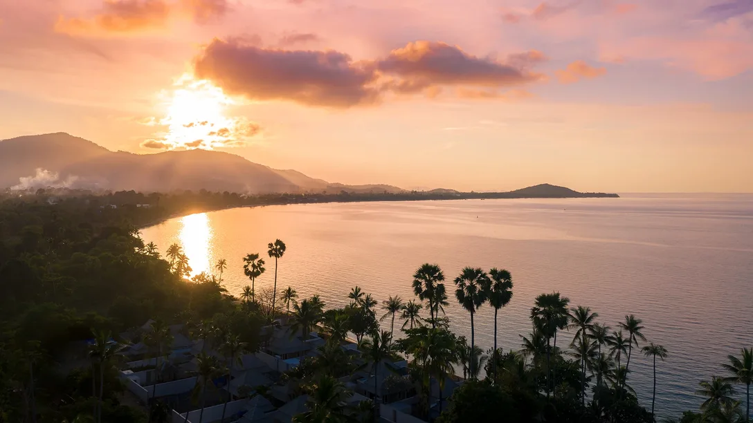 Obl3x8lk9nlgqtmhvs0p