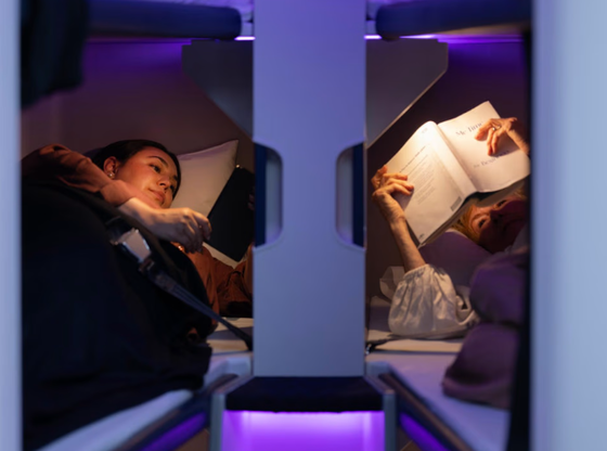 Air New Zealand Skynest