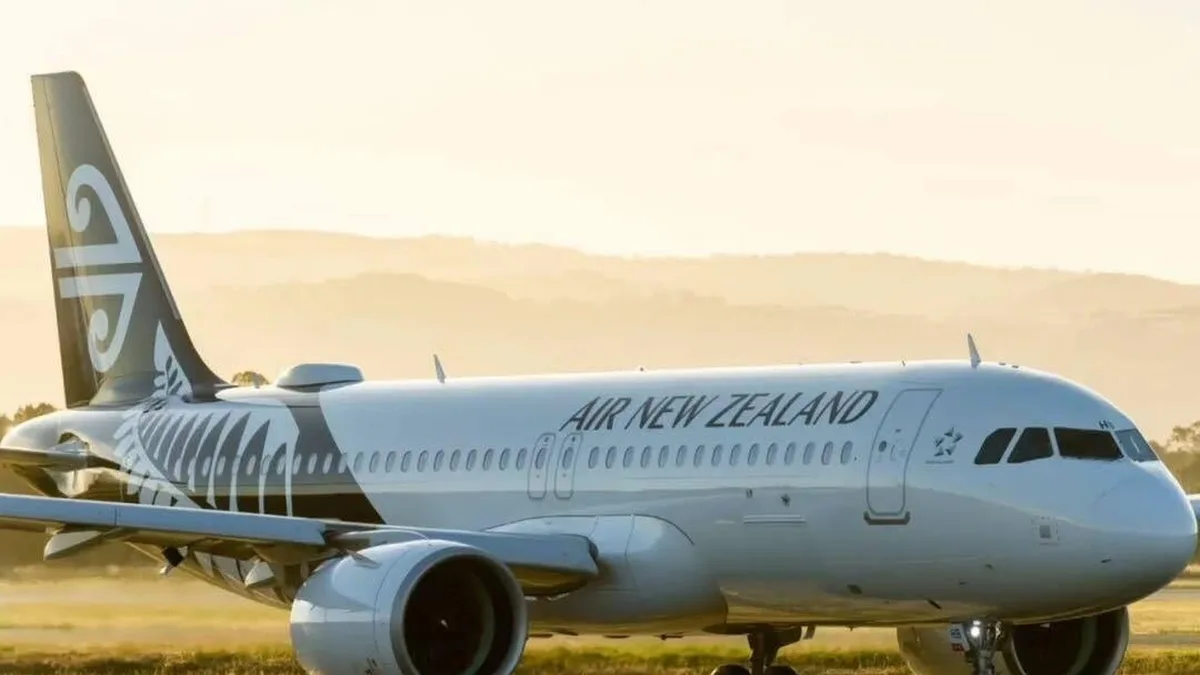 571784302 1213062354189157 338716821940954968 n