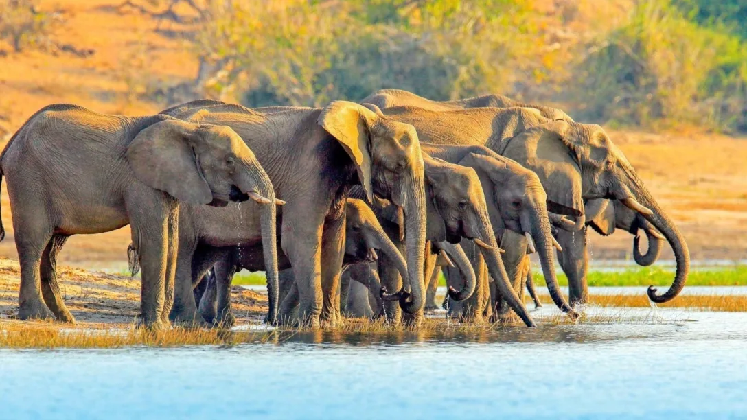 Collette Exploring South Africa Victoria Falls Botswana2