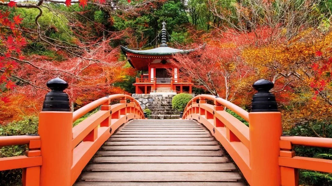 Kyoto shrine