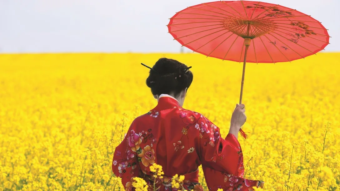 Geisha in the yellow field