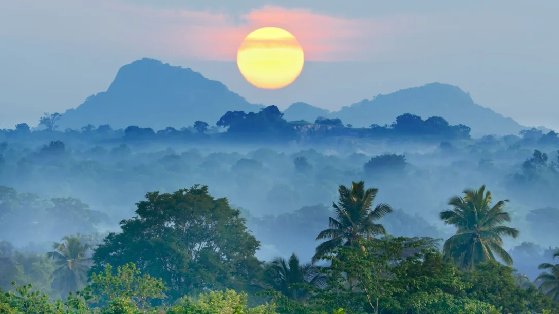 sunrise-jungles-Sri-Lanka