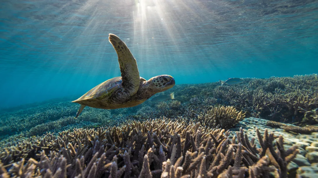 Adobe Stock 536644898