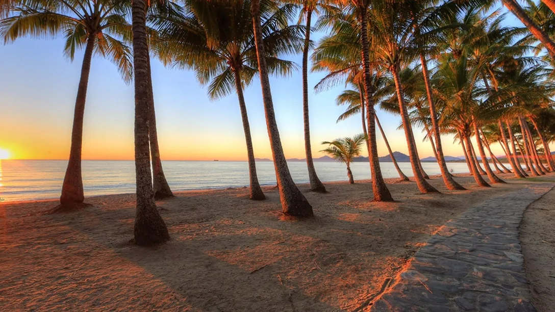 Palm Cove