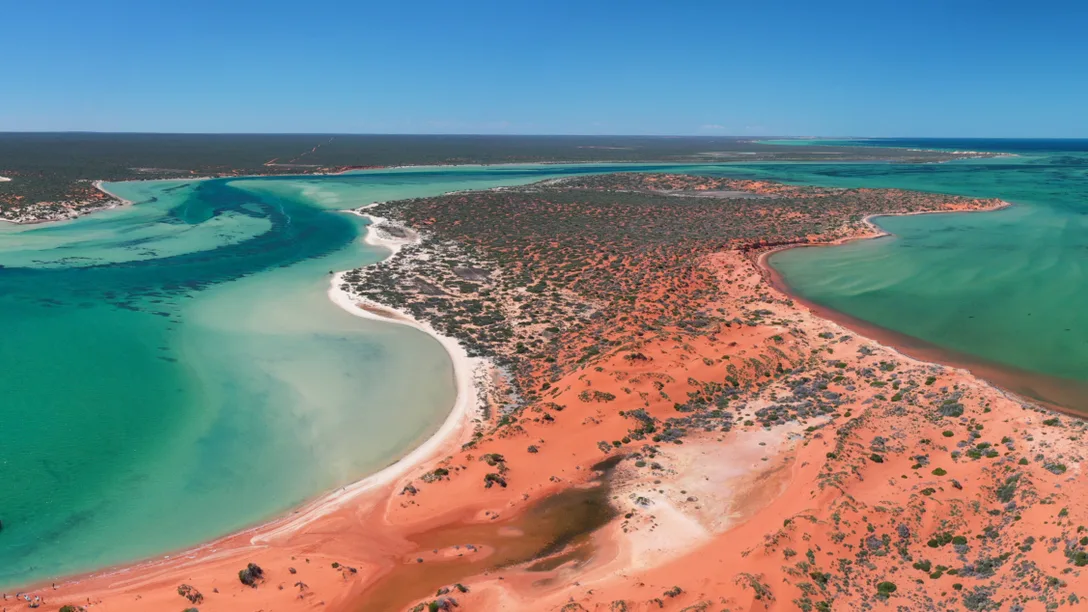 Shark Bay Coral Expeditions