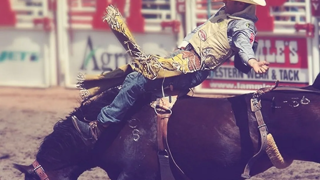 Calgary-Stampede