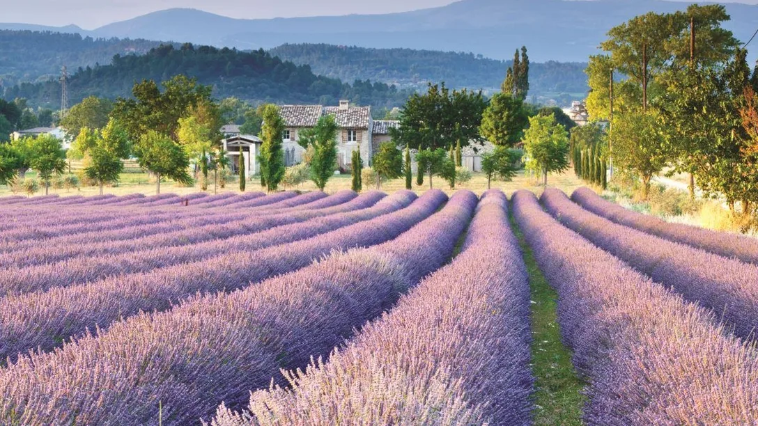 Provence-landscape
