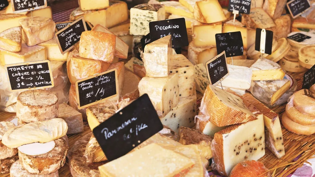 Provence-cheese