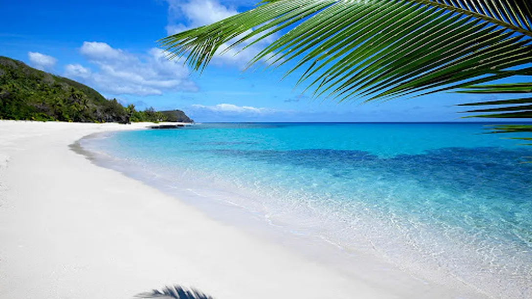 Fiji Palm tree beach